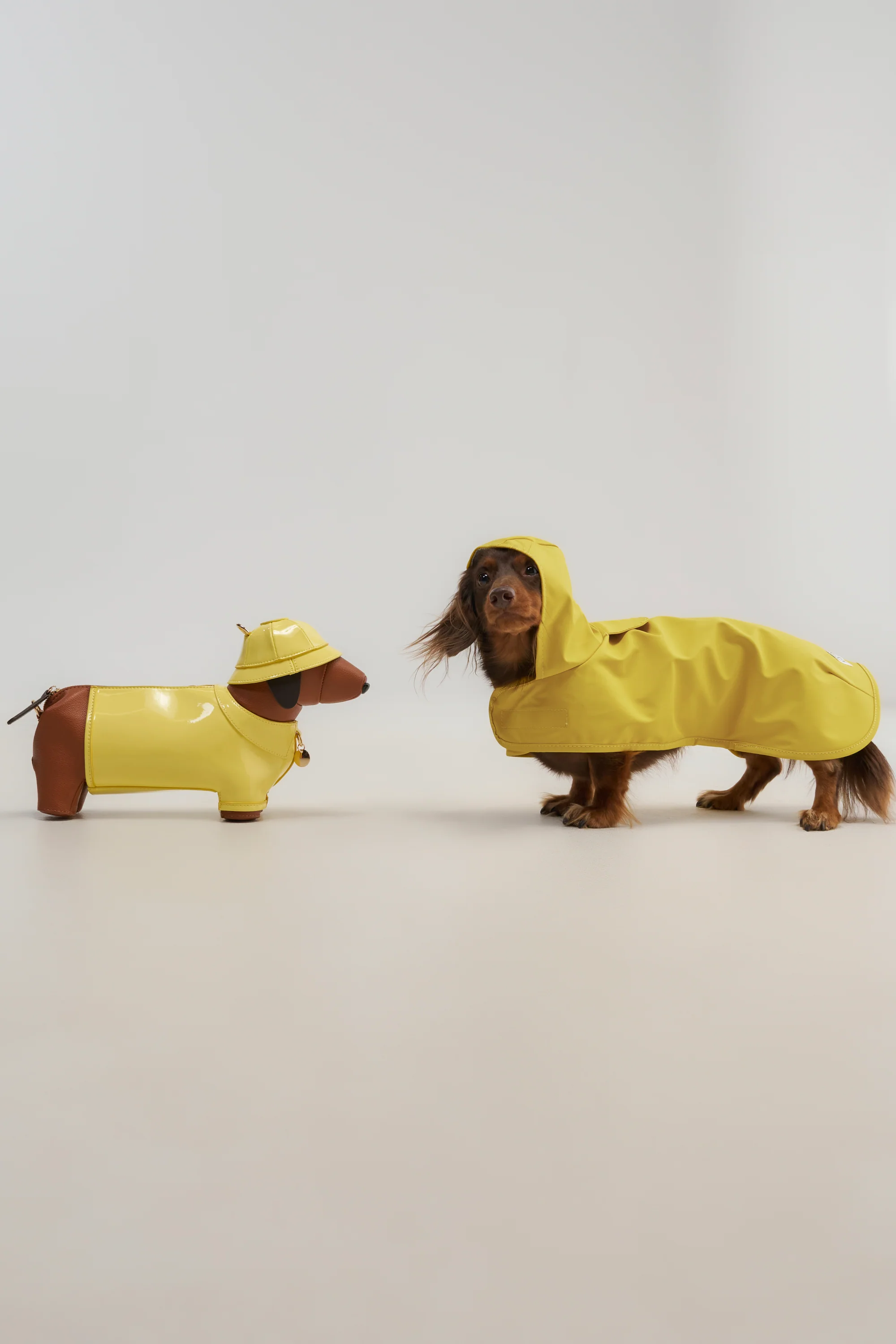 WOOF PURSE - Akira Store