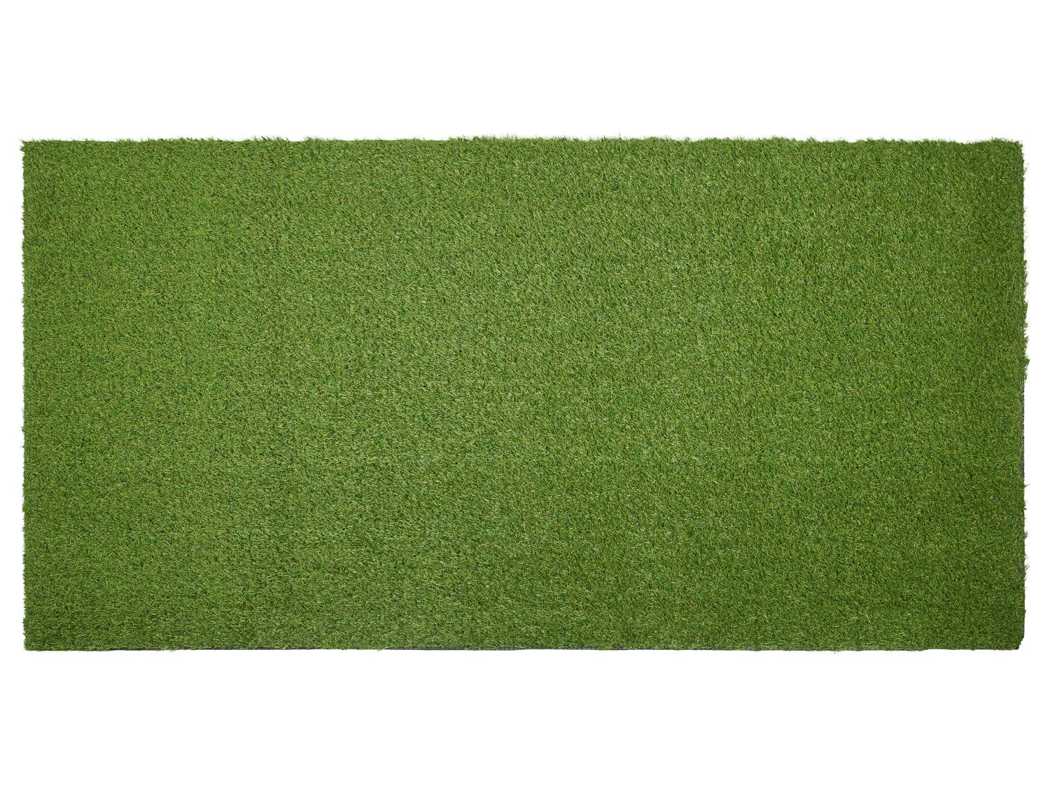 LIVARNO Gazon synthtique, 100 x 200 cm