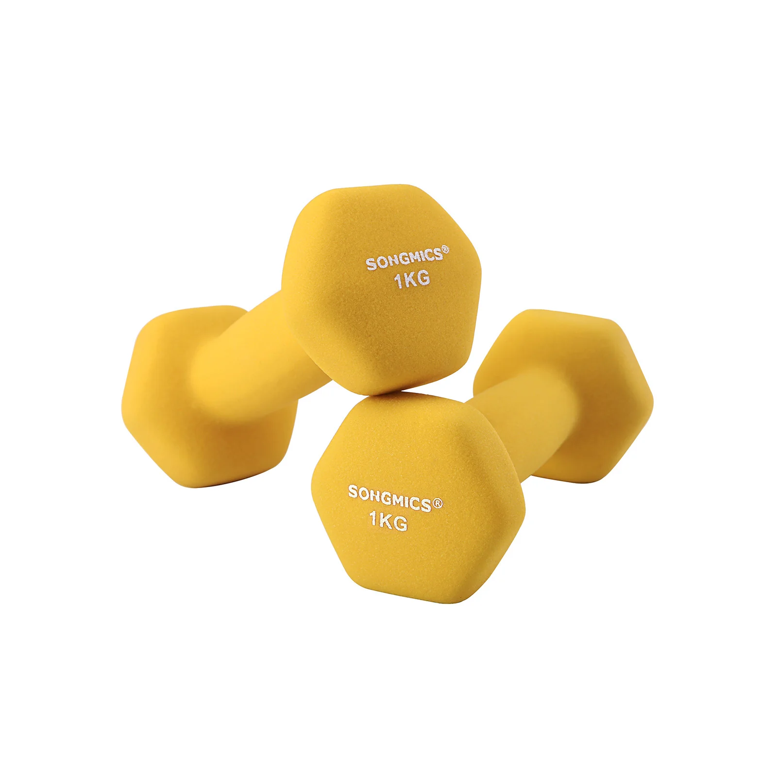 Halters 2 x 1 kg geel — afbeelding 1