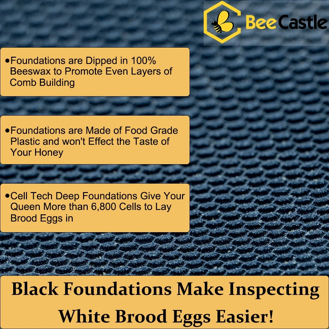 Bee Castle 10 - Frame Beeswaxed Complete Bee Hives Kit with 2 Deep Box and 1 Medium Box