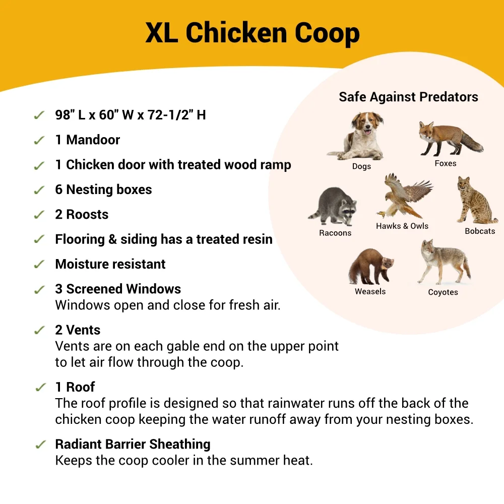 Chicken Coop XL | Hatching Time - Image 4