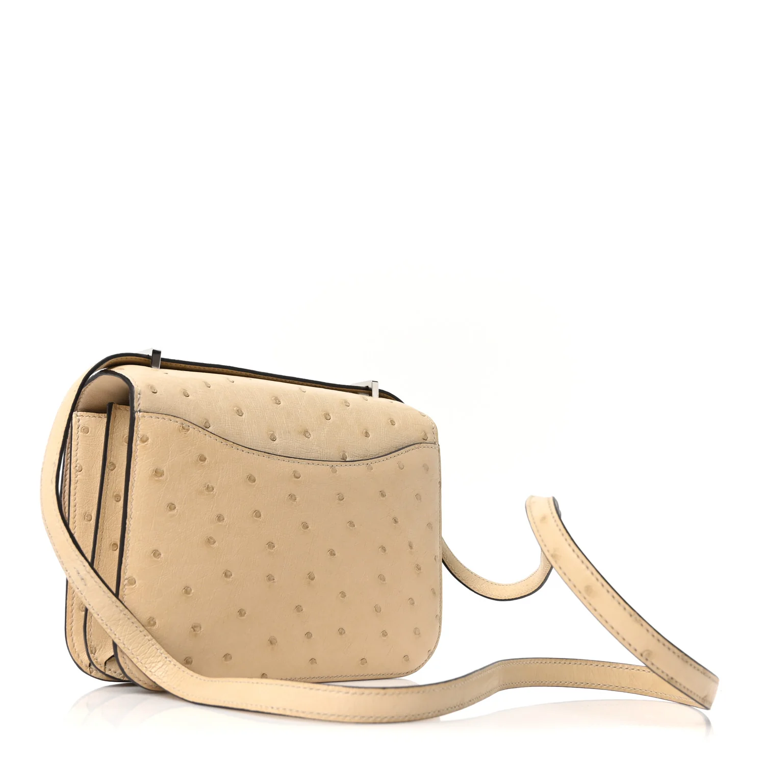 Ostrich Constance 18 Parchemin
