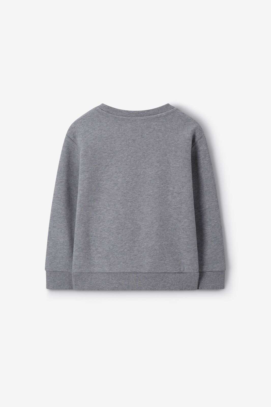 Grijze sweater met fiets