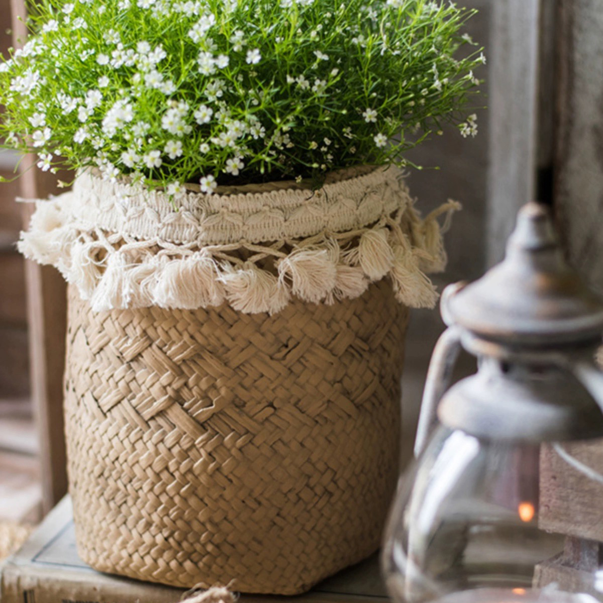Garden Decoration Succulent Plant Pot 