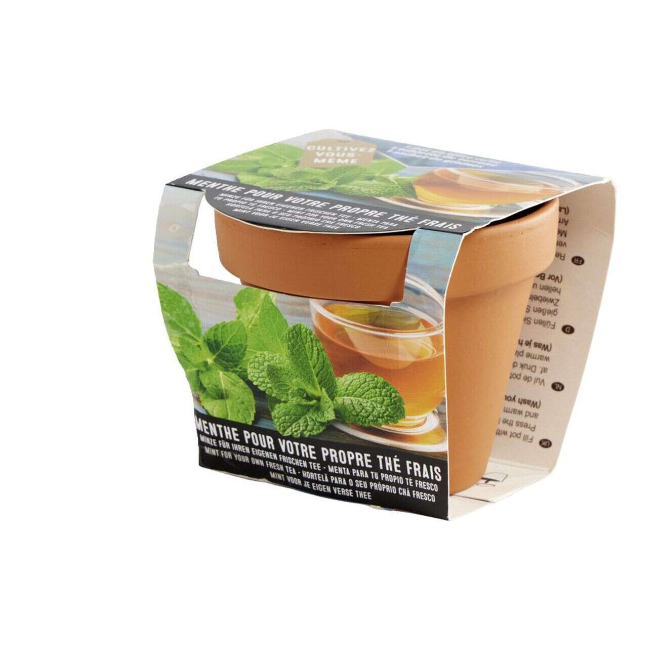 Pot terre cuite culture menthe avec graines et terreau H8.5cm