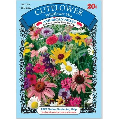 NS American Seed Flower - Total Qty: 1
