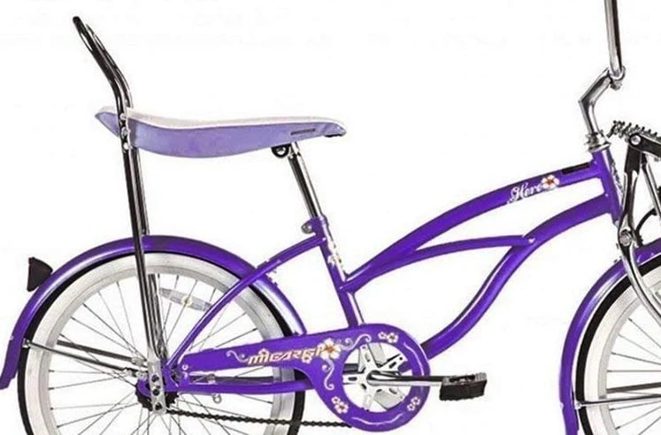 Wonder Wheels 20 In. Beach Cruiser Lowrider Coaster Brake Single Speed Bicycle, Bike with Banana Seat Stainless Steel Spokes One Piece Crank Alloy Rims 36 H - Purple
