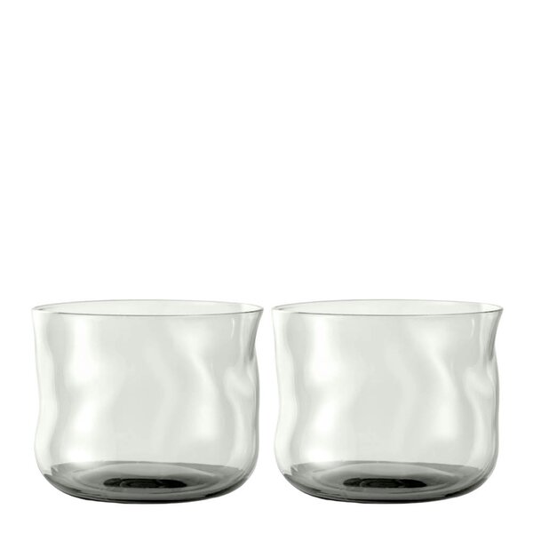 Swirl tumbler glass small 24 cl 2 stk Wave