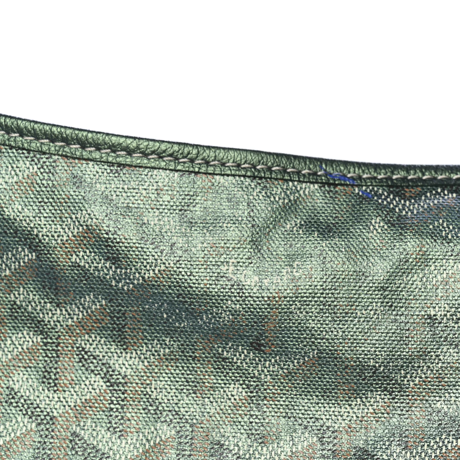 Iridescent Goyardine Boheme Hobo Pearly Green