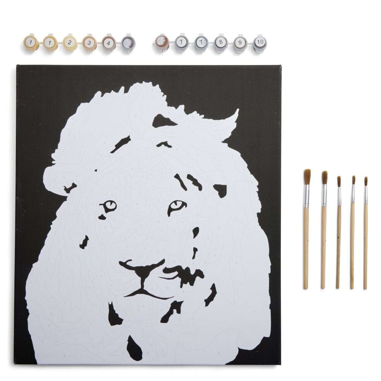 Kit peinture numéros 45x40cm avec peintures et pinceaux (3 modèles)