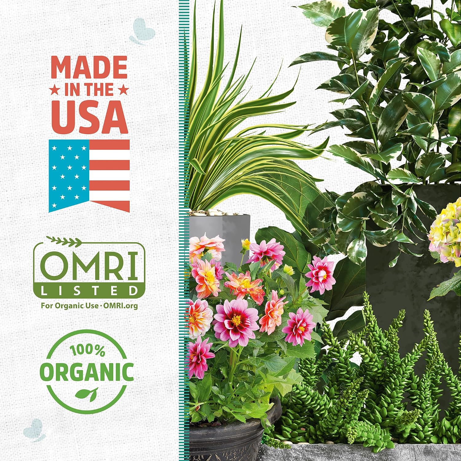 Back to the Roots 100% Organic Perlite| Made in the USA| Premium Nutrition for Indoor and Outdoor Plants