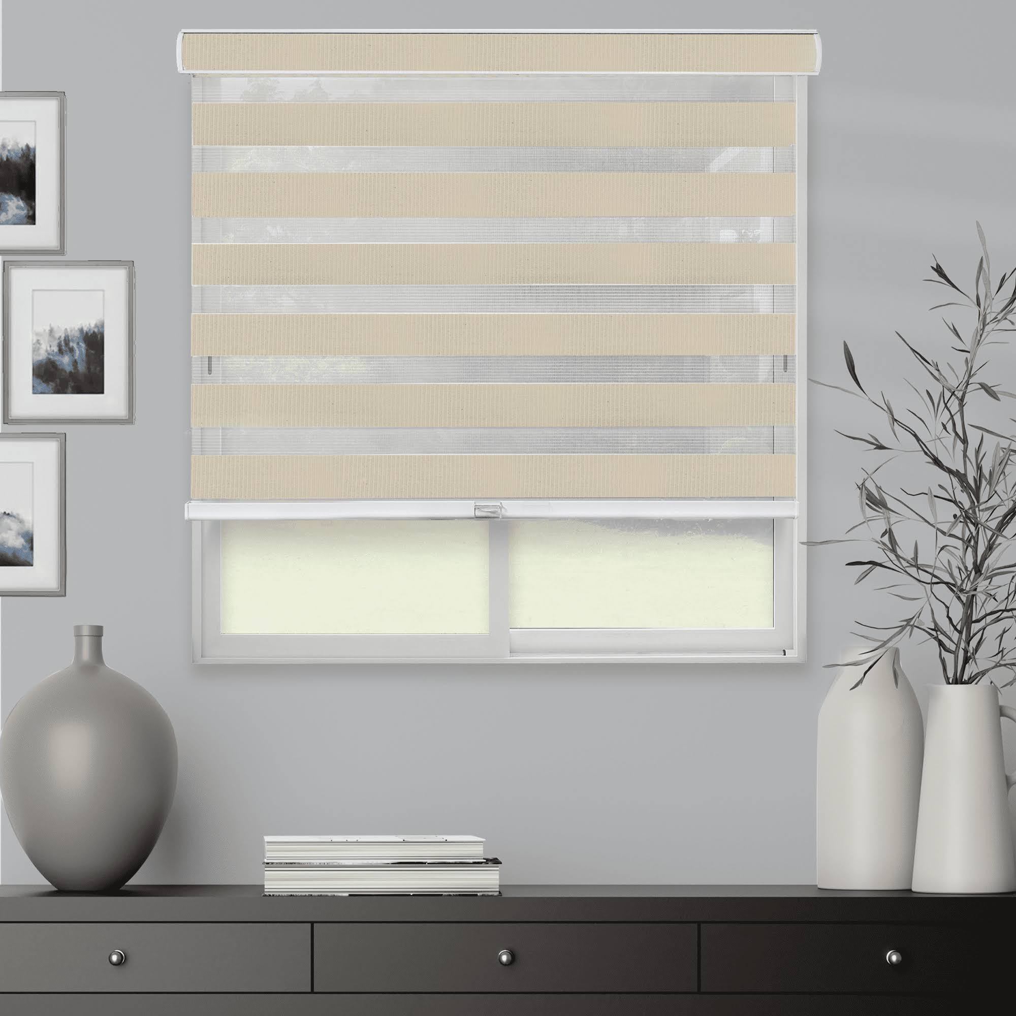 Chicology Everyday Cordless Zebra Shades, Light Filtering - 53