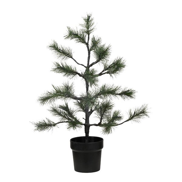 Peuce juletre 75 cm natur