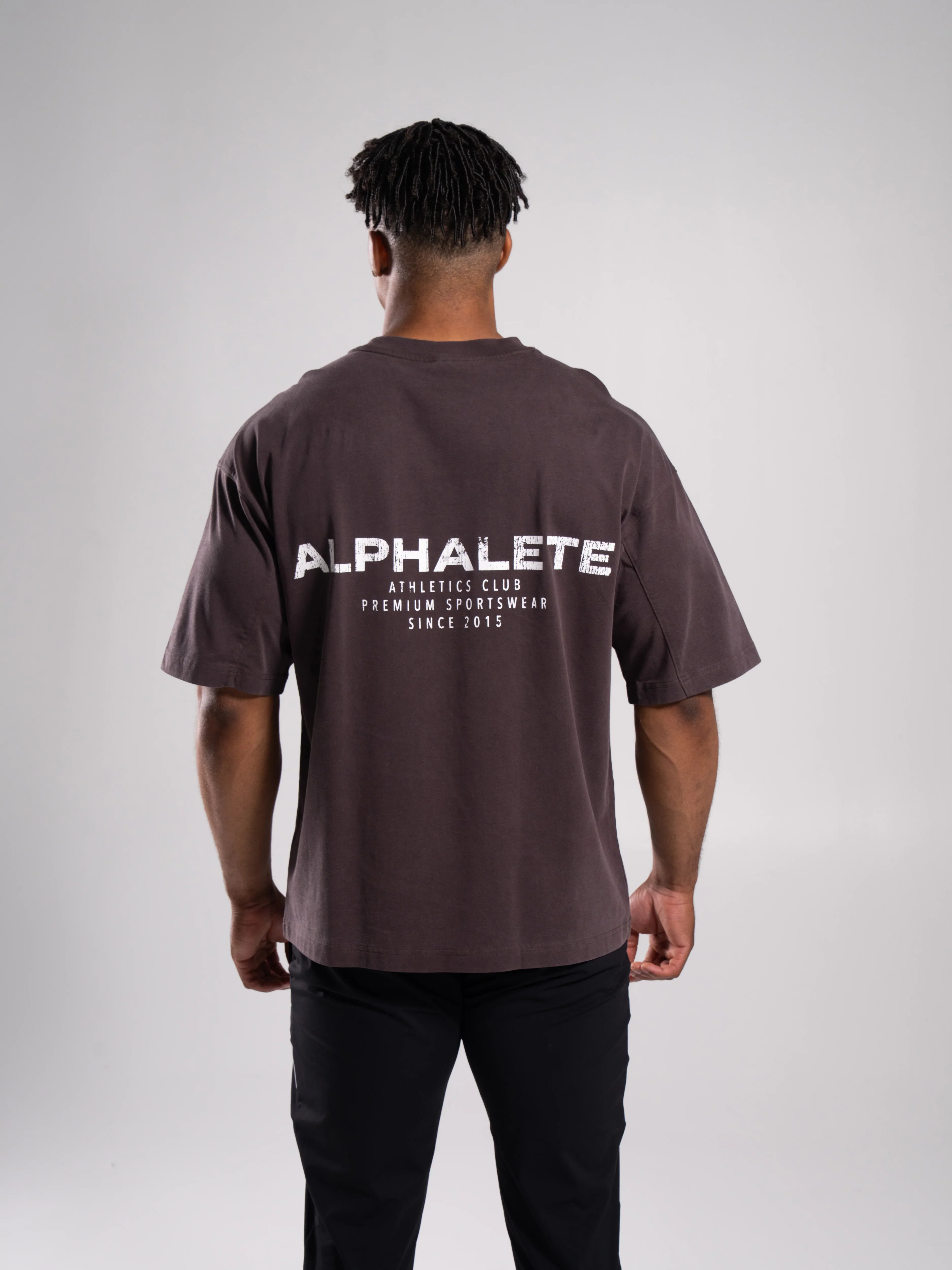 Stone Wash Alpha Tee - Walnut