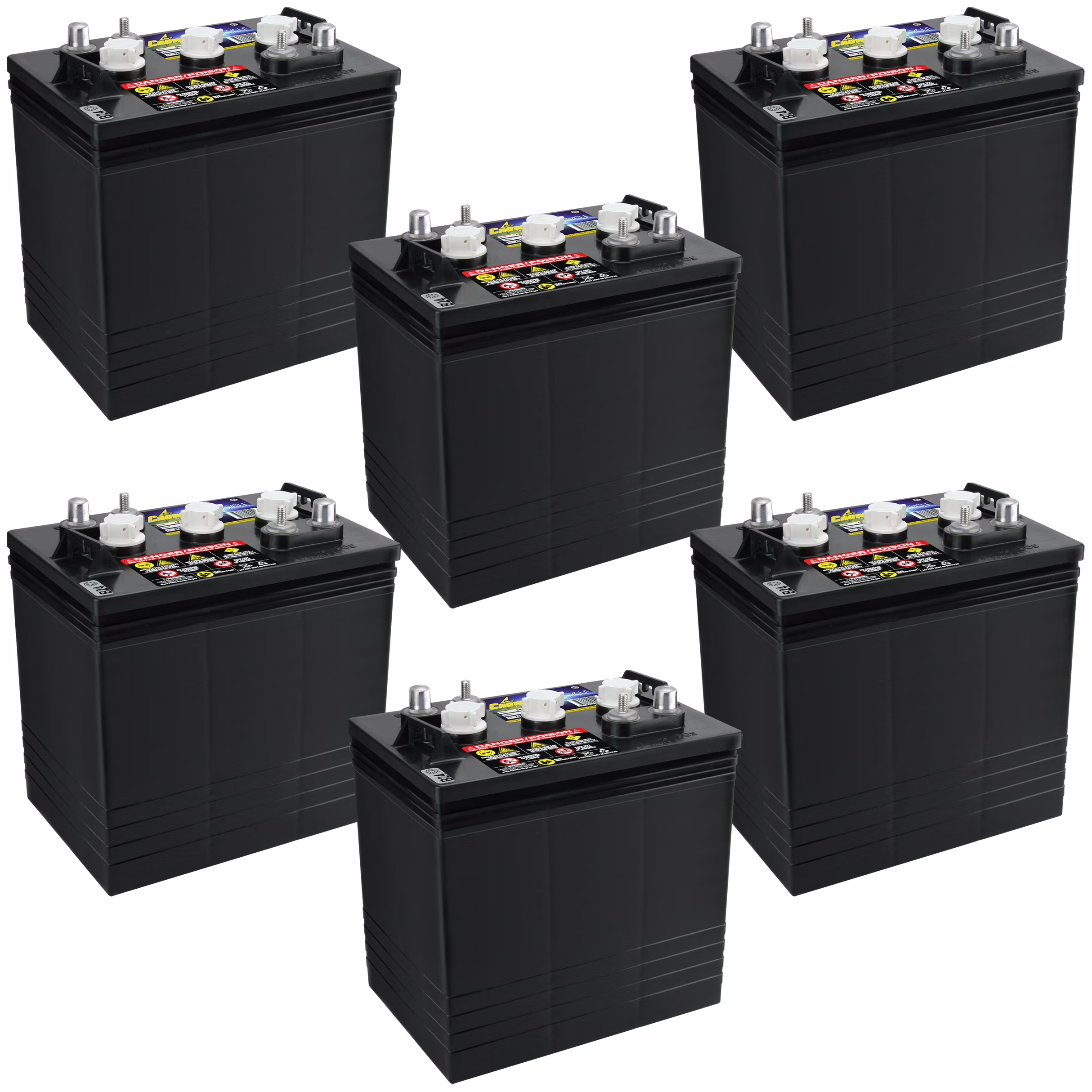 BCI Group GC2 6V 240AH Deep Cycle Golf Cart and Scrubber Battery X6