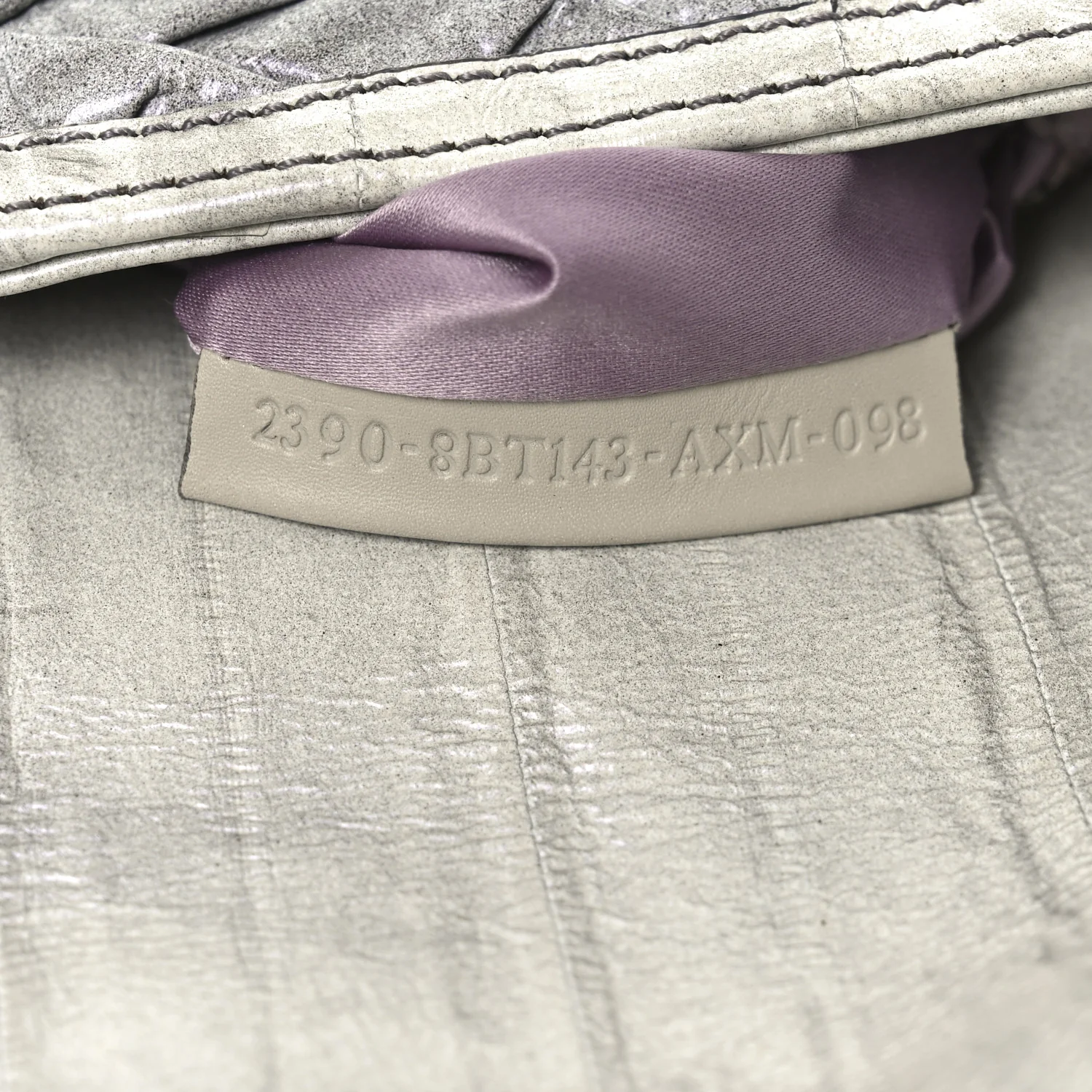 Iridescent Eelskin Maxi Chain Baguette Bag Grey Multicolor