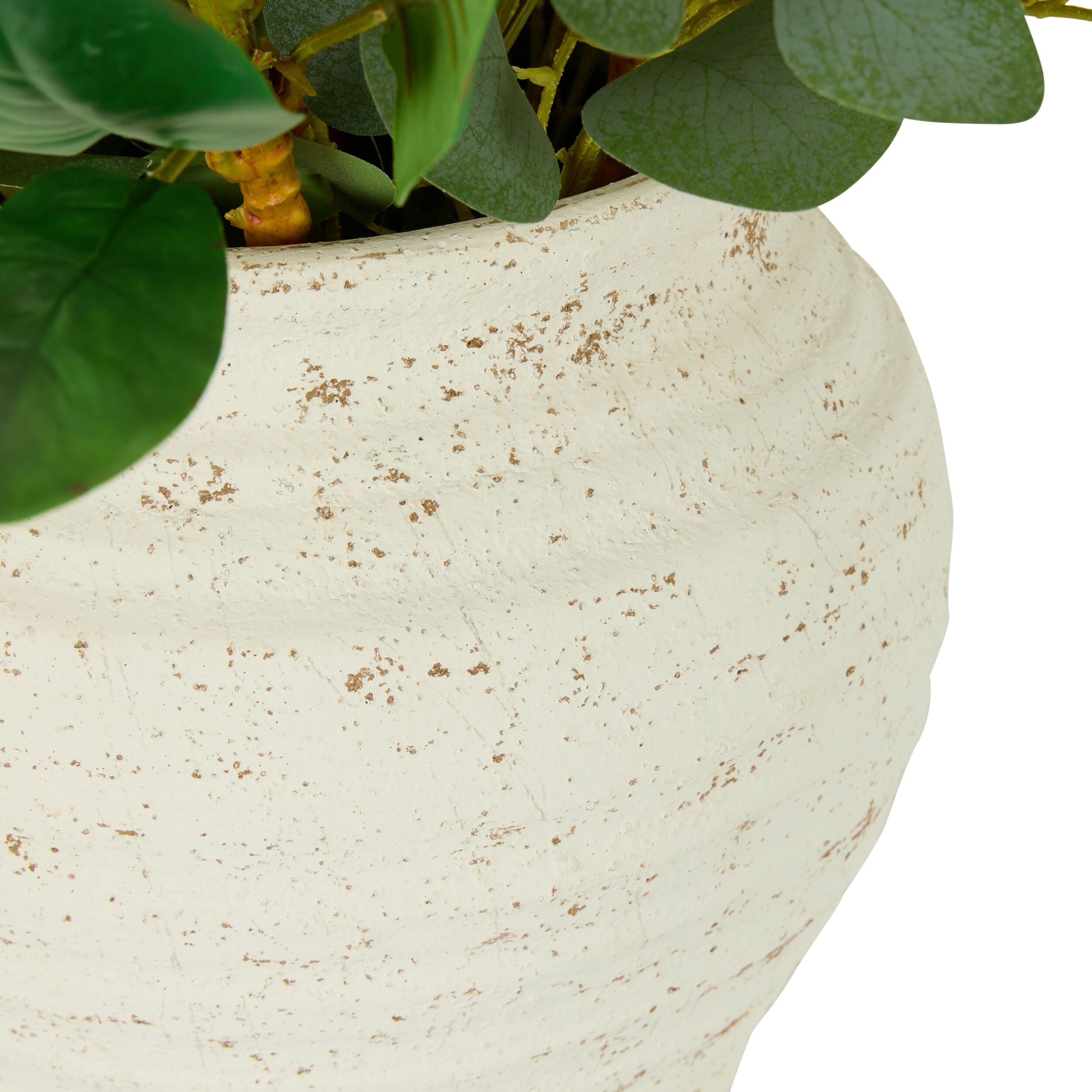 Folia Protea Arrangement in Ceramic Pot