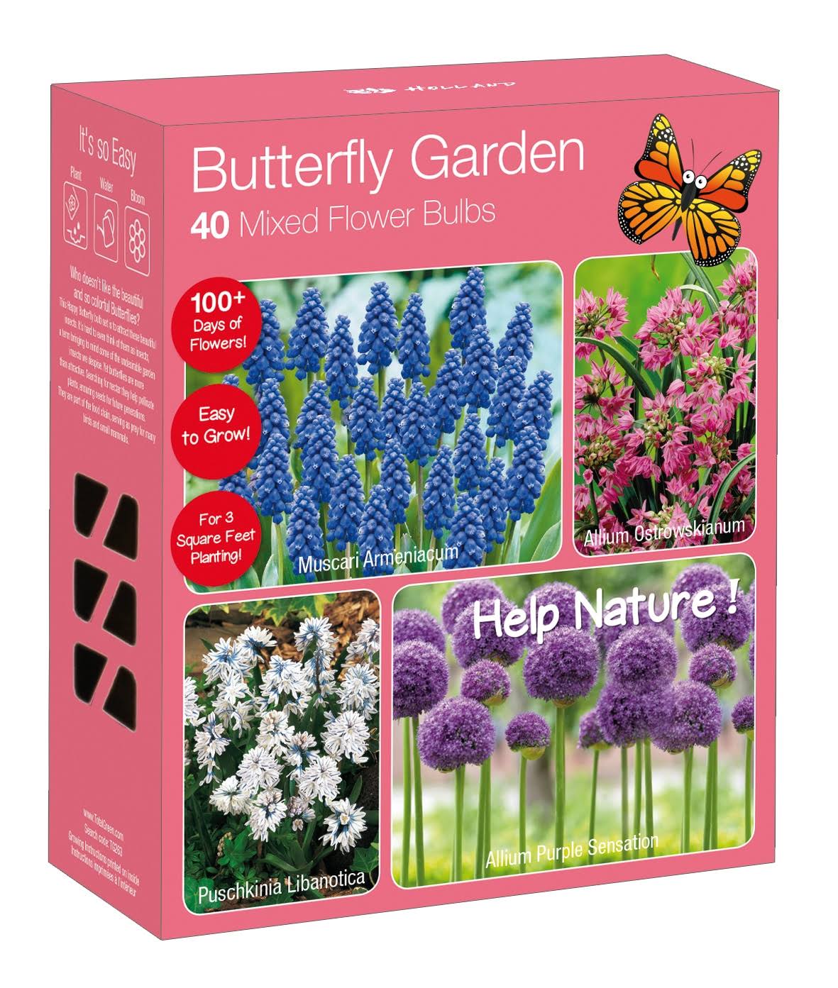 40pk Butterfly Garden Nature Friendly Collection Assorted Bulbs - National Plant Network