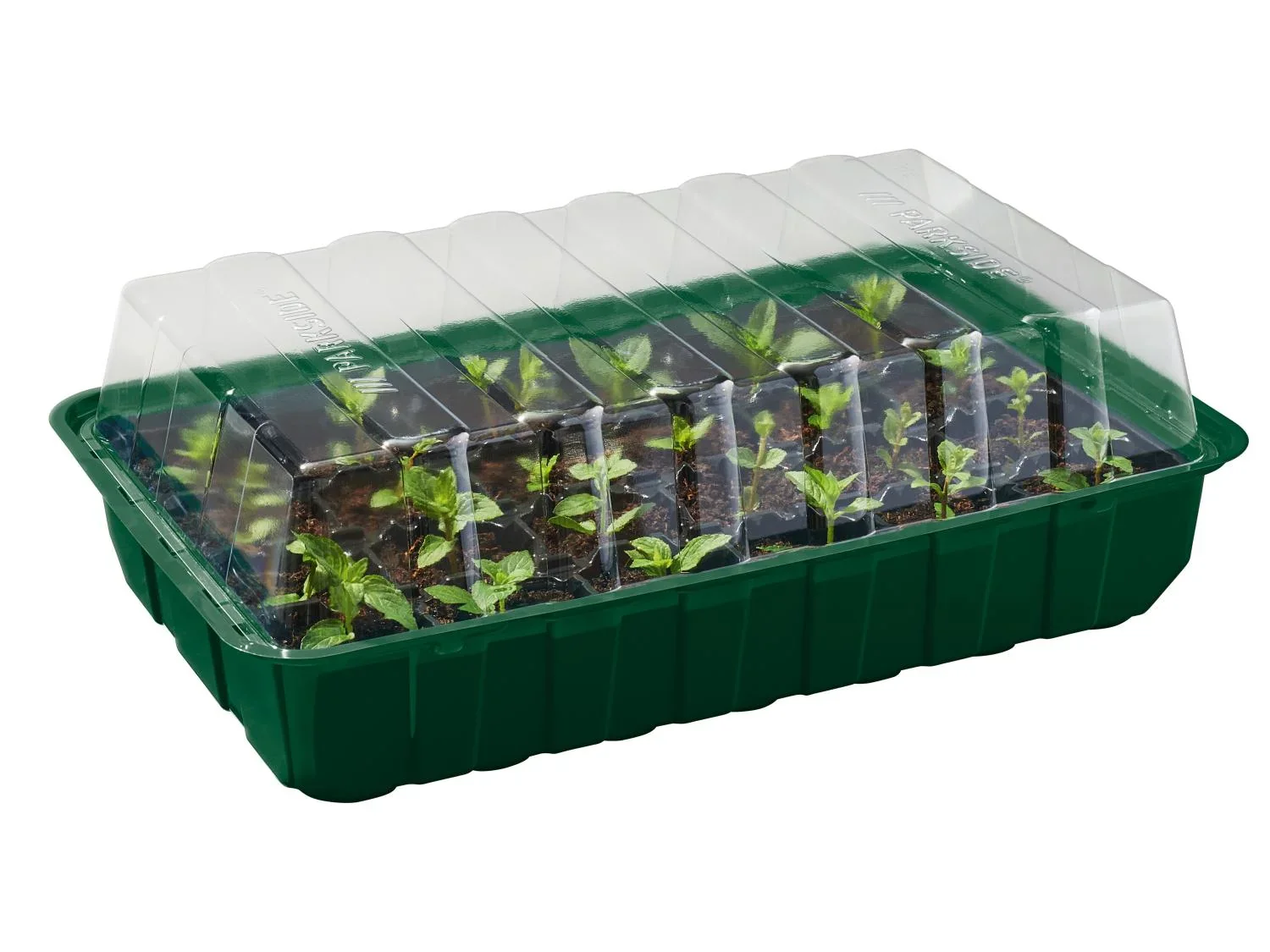 PARKSIDE Lot de 4 mini-serres