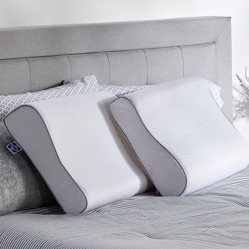 Sealy Essentials Contour Curve Memory Foam Pillow