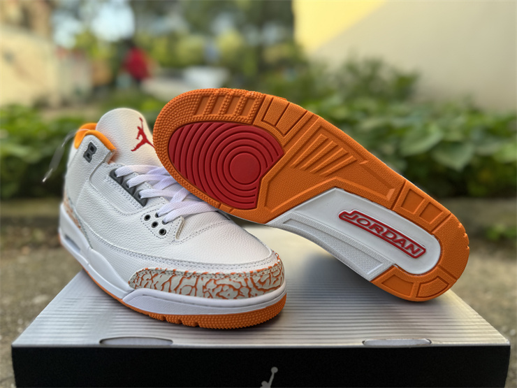 Jordan Air Jordan 3 Retro 