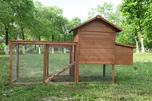 poulailler extérieur en bois de 203 cm (80 pouces) avec nichoir, cage pour volailles