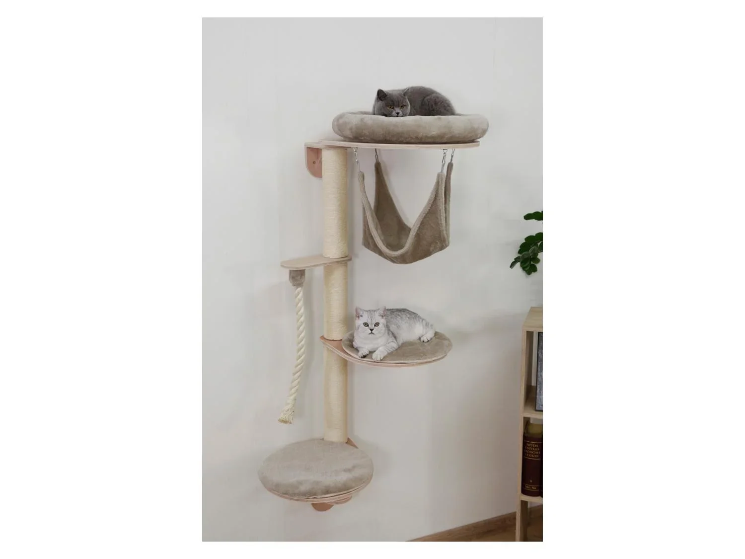 Kerbl Pet Arbre  chat mural Dolomit Grappa