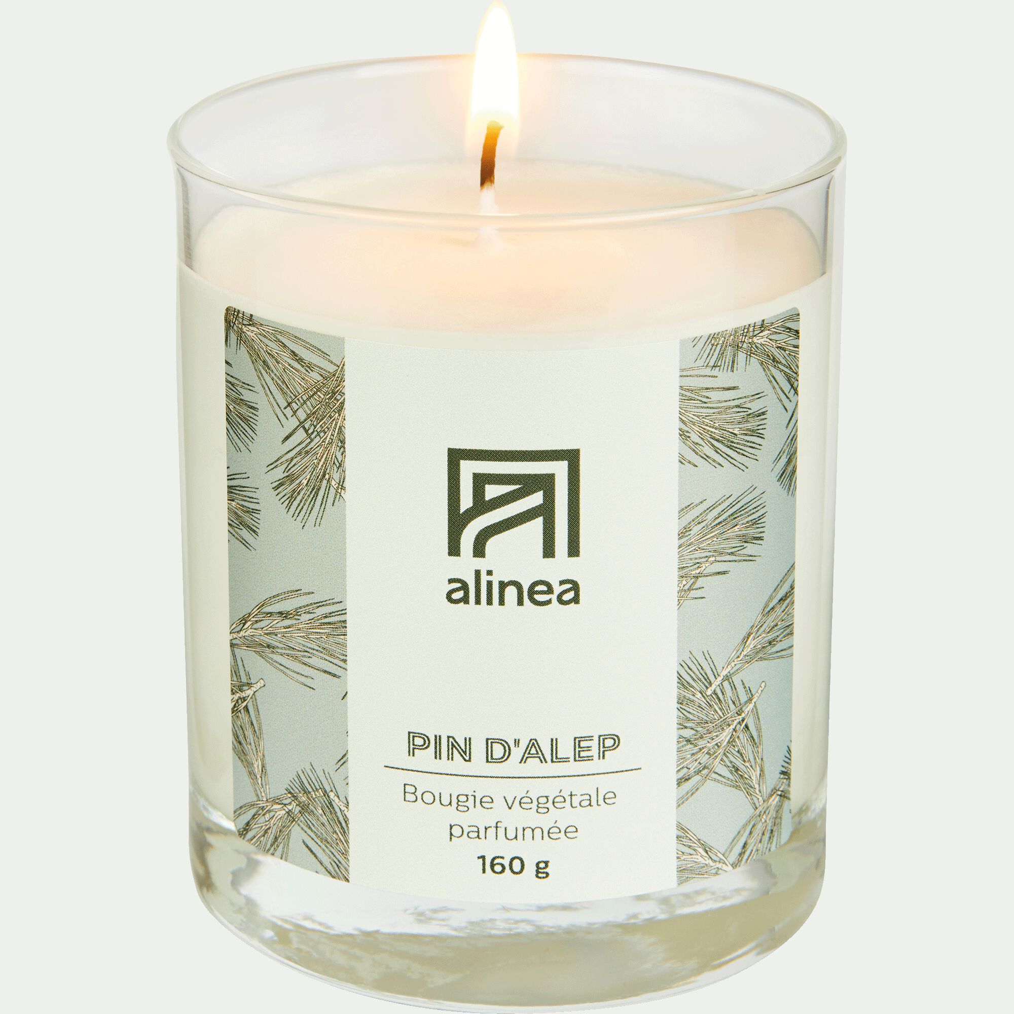 SIGNATURE - Bougie parfumée senteur Pin d'Alep 160g