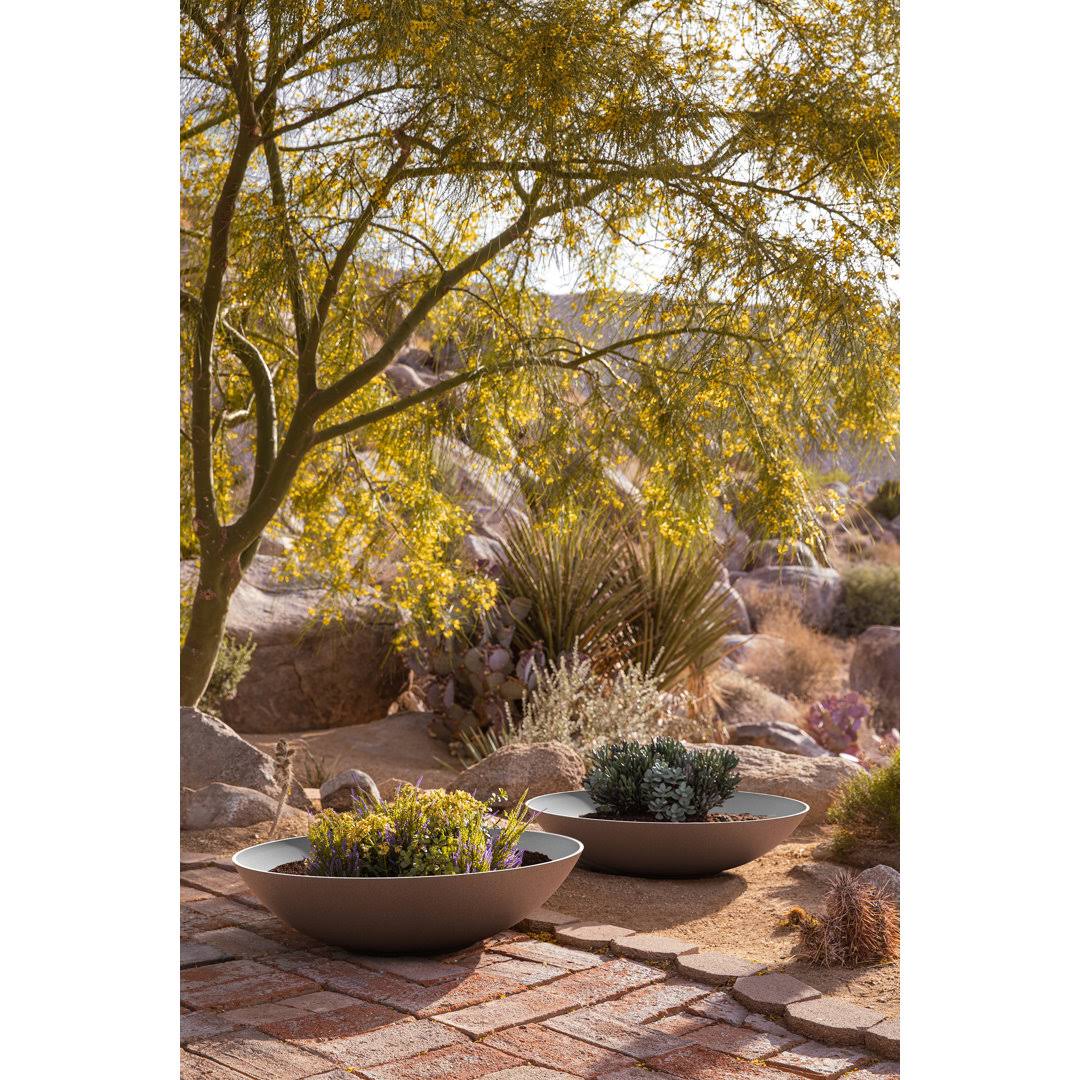 Pure Series Lane Bowl Planter Mercury Row Size: 8
