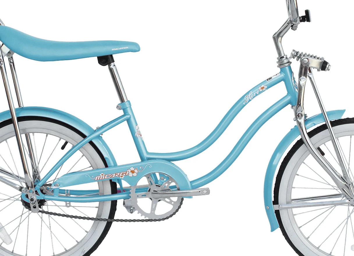 Wonder Wheels 20 in Women'S Girls Beach Cruiser Lowrider Coaster Brake Single Speed Bicycle, Bike with Banana Seat Stainless Steel Spokes One Piece Crank Alloy Rims 36 H - Baby Blue