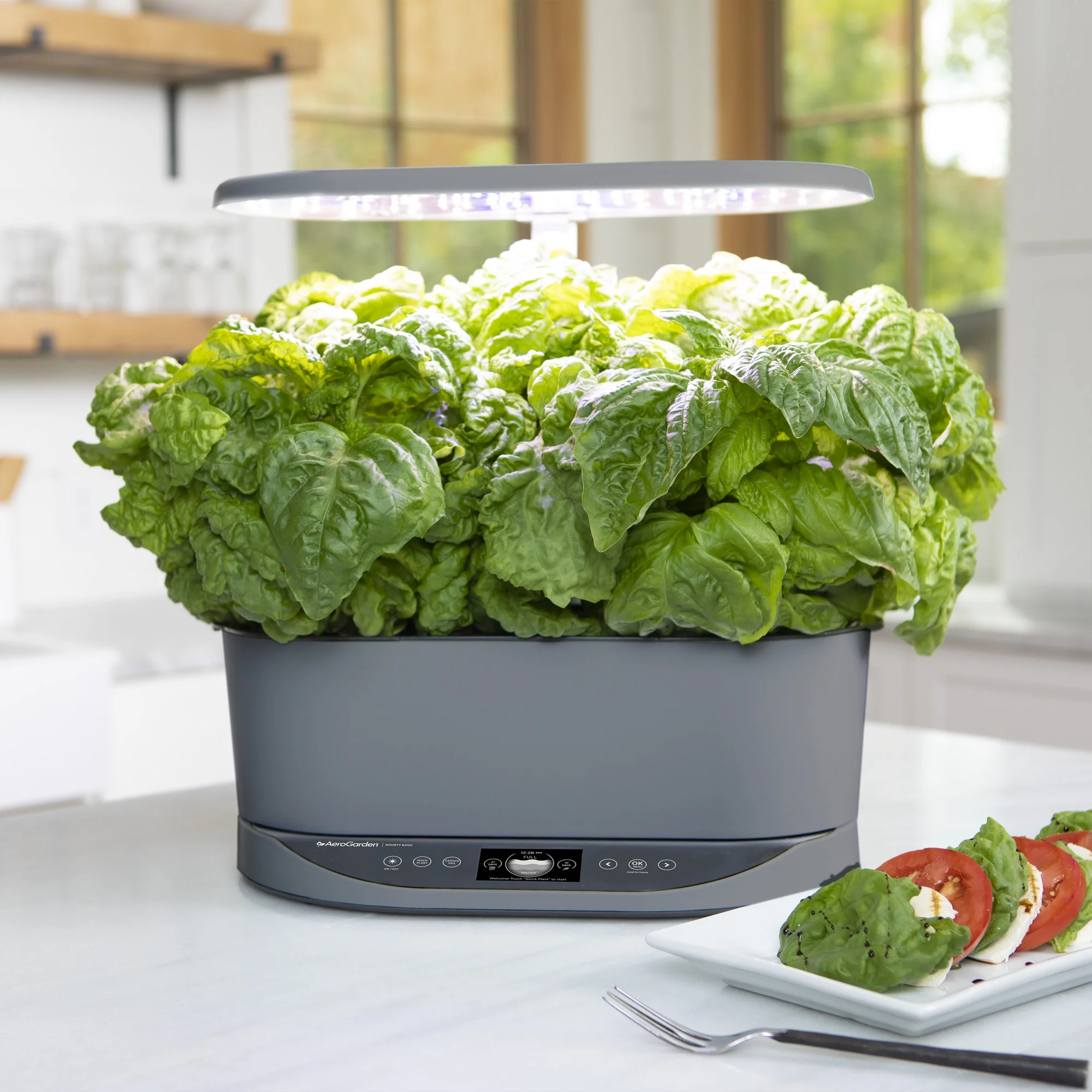 Bounty Basic Indoor Garden with LED Grow Light, Black(Black) - Image 9