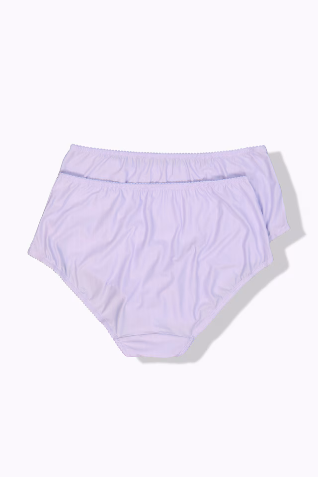 2 Pack of Stretch Microfiber Brief Panties - Pinstripe