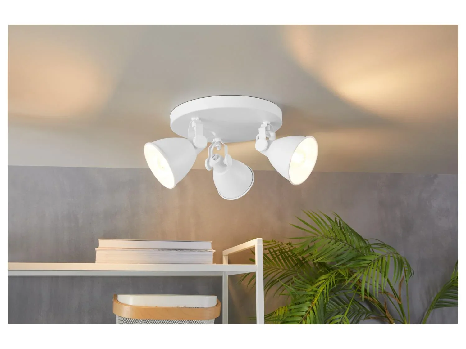 LIVARNO Plafonnier  LED