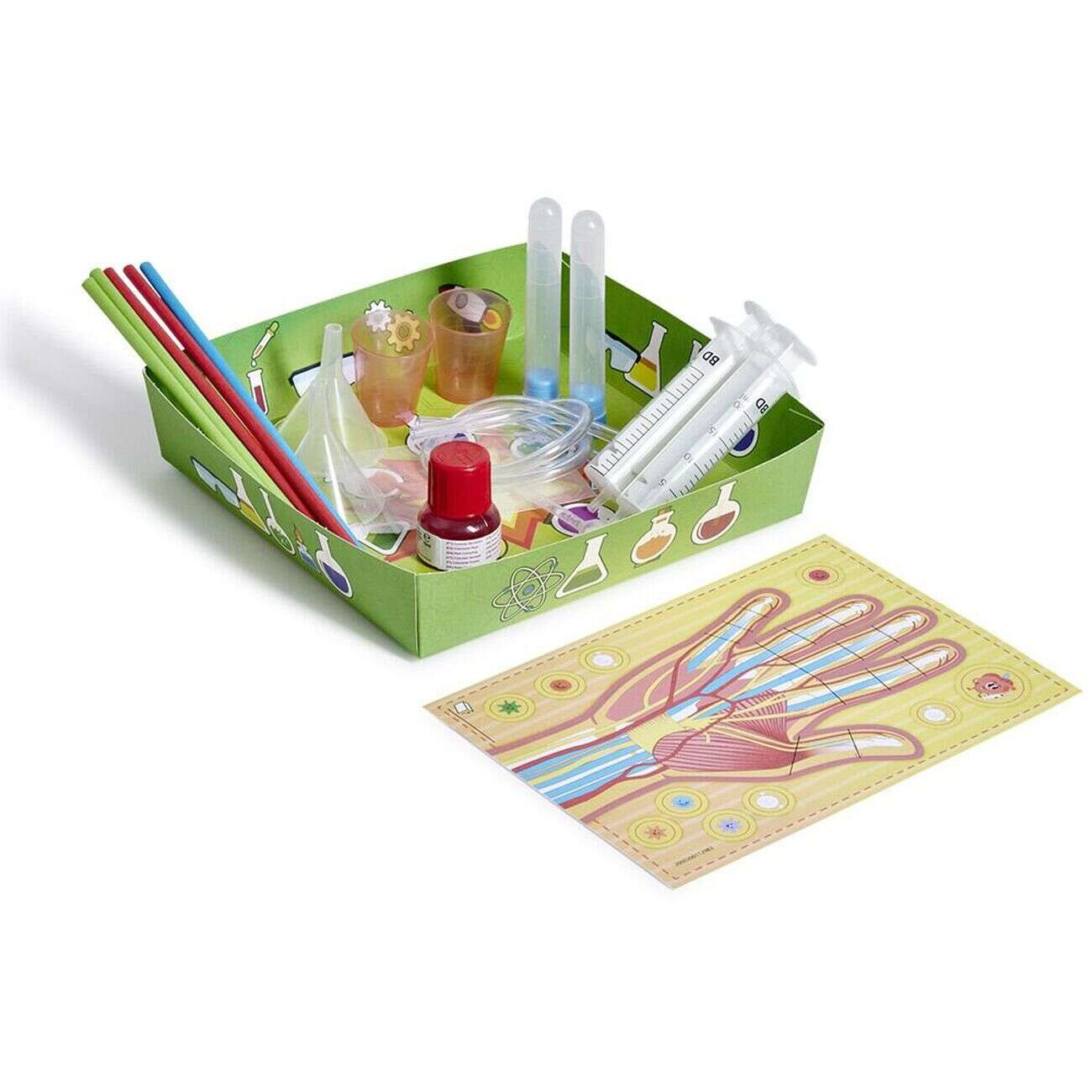 Jeu science corps humain