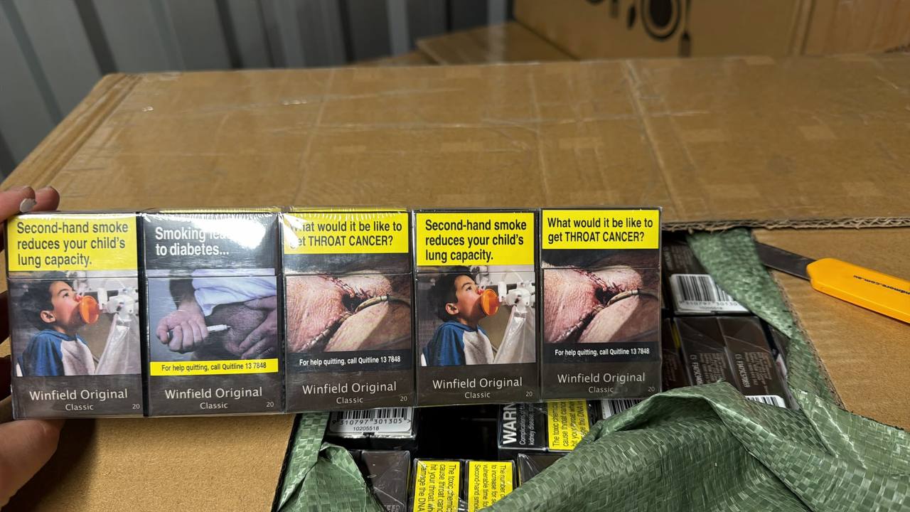 Winfield original classic 20s Cigarettes x 10 Packs /1 Carton