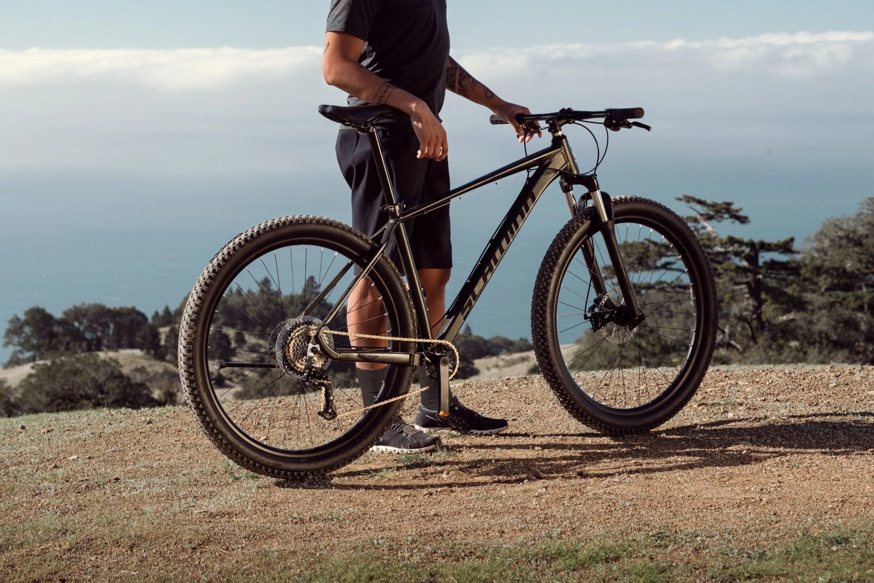 Schwinn 29 - In. Axum Mens Mountain Bike, 19 - in Frame, 8 Speeds, Black