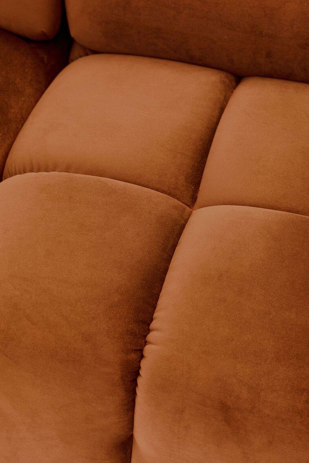 Marquis hocker Salvador brown