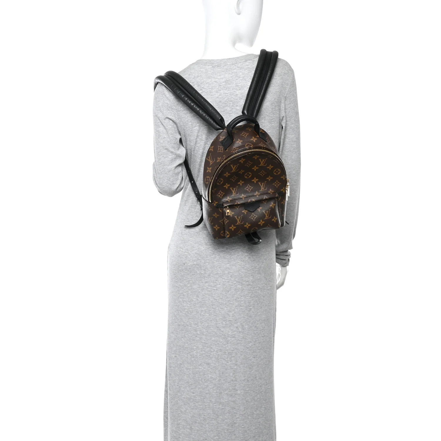 Monogram Palm Springs Backpack PM