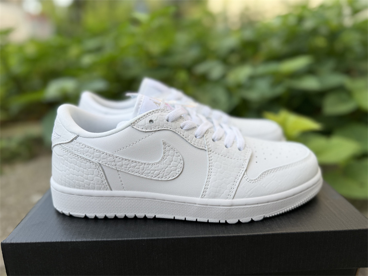 Jordan Air Jordan 1 Low Golf 