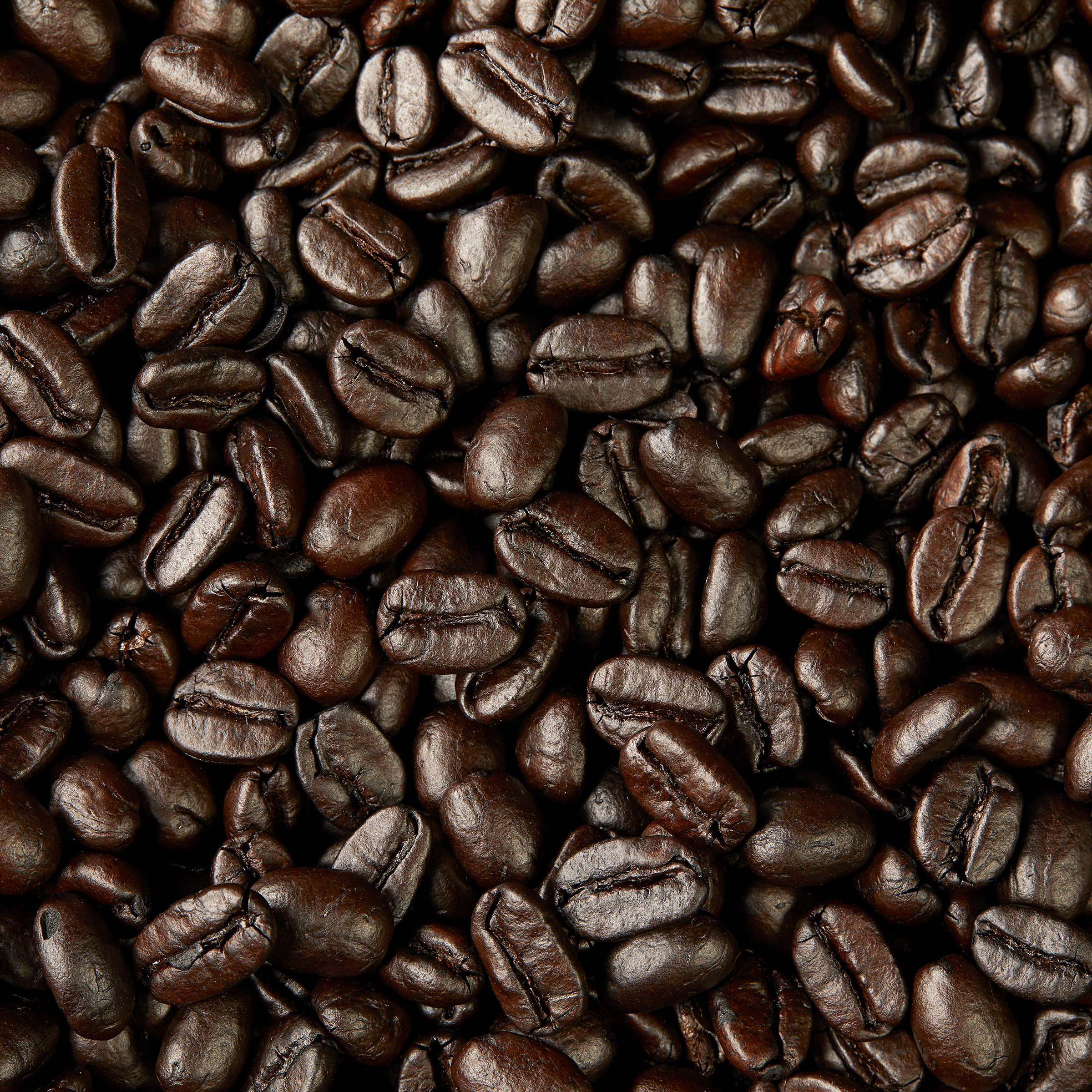 Kirkland Signature Whole Bean Coffee, French Roast, 2.5 lb
