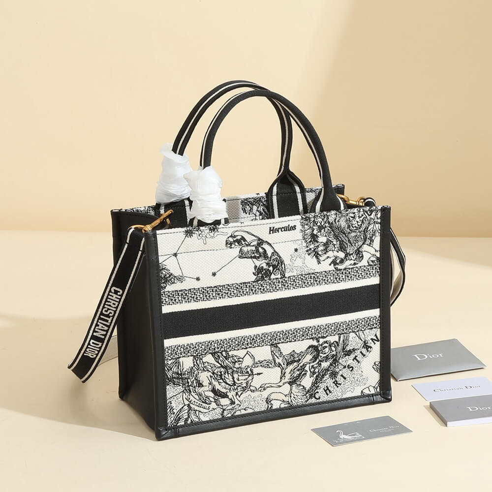 Small Dior Book Tote