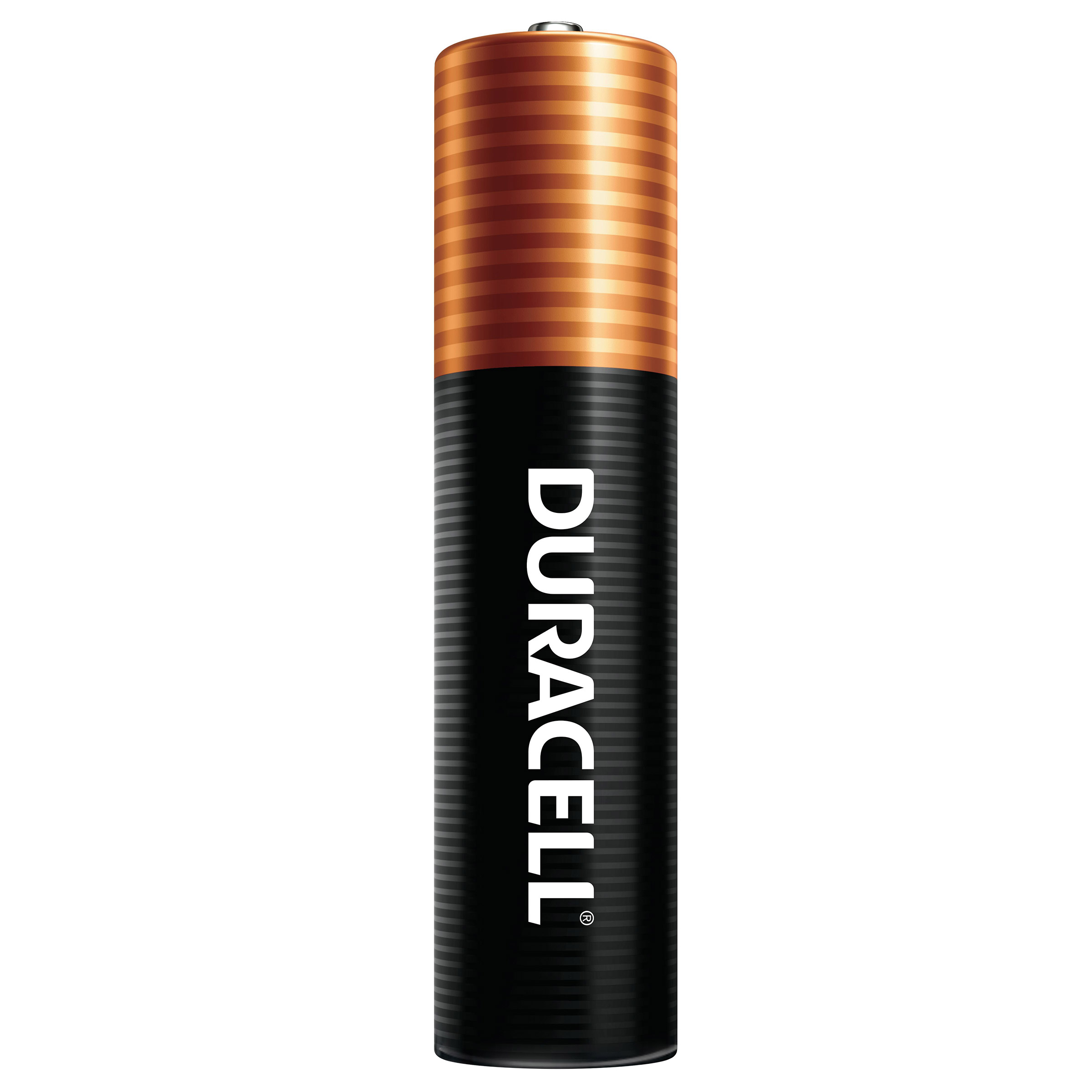 Duracell Coppertop Alkaline AAA Batteries, 40 - Count