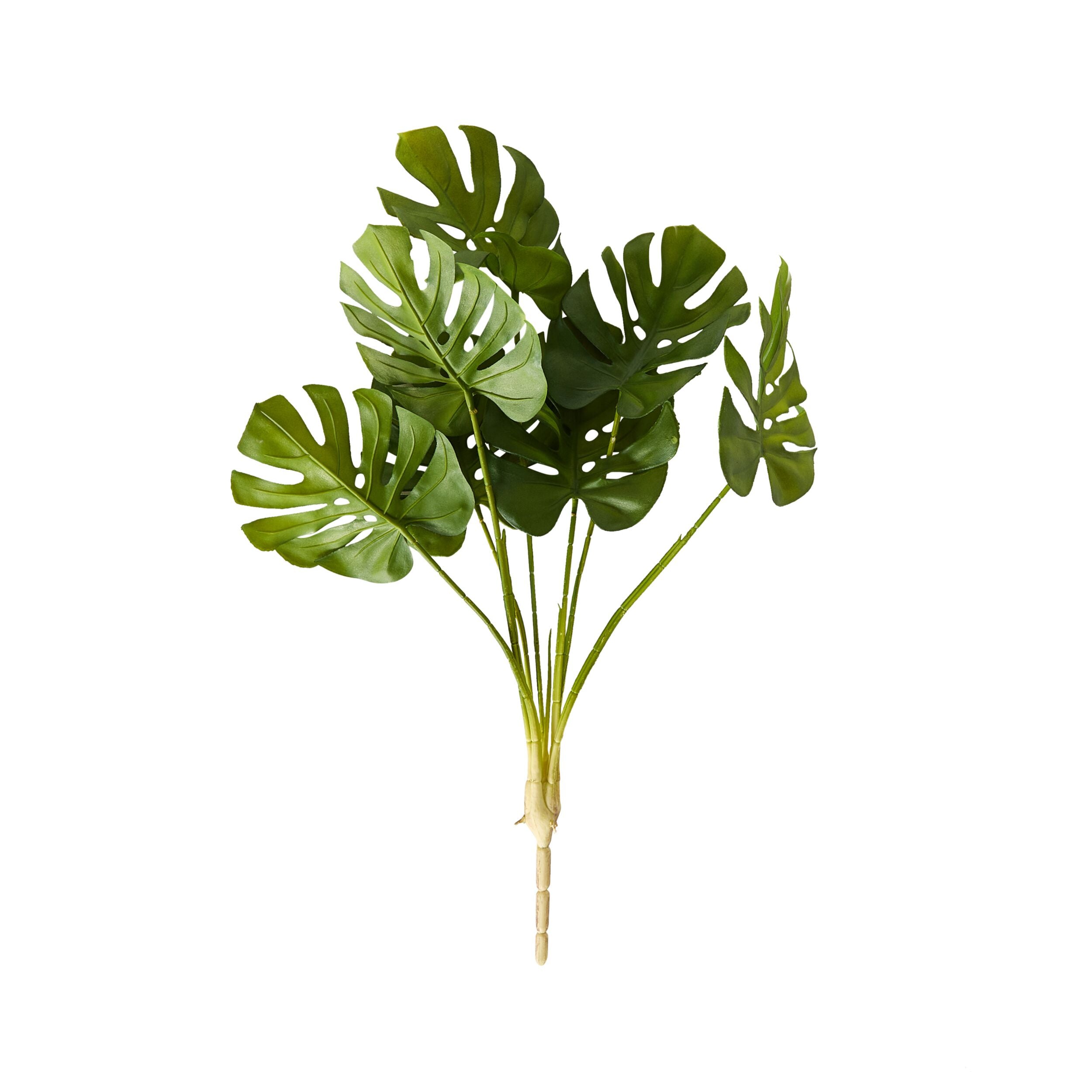 Bloomery Monstera Stem 58cm
