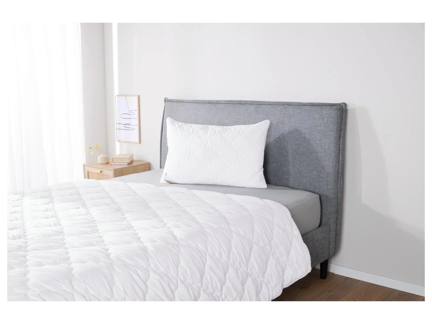 LIVARNO home Oreiller Polygiene, 50x 70 cm