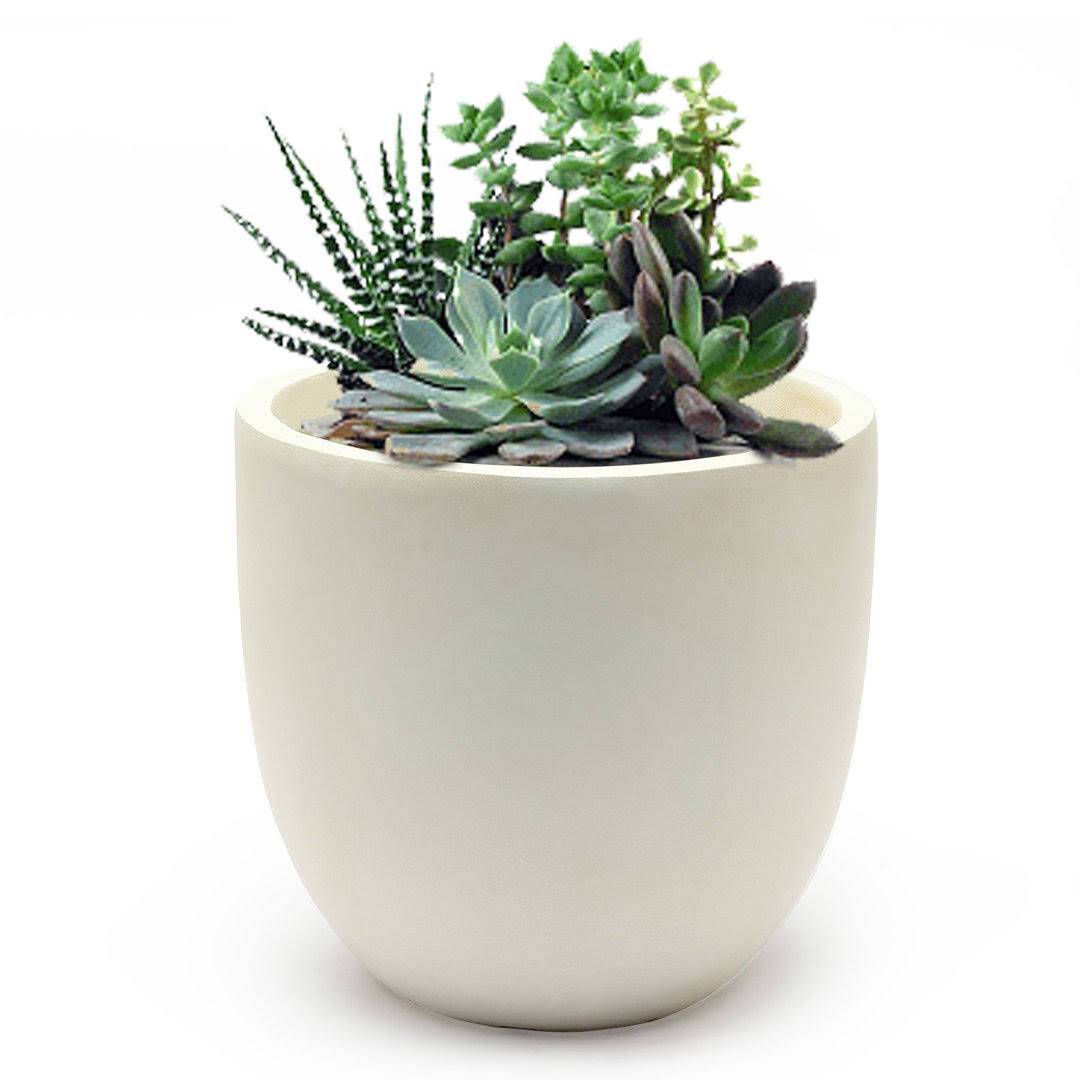 Sol 72 Outdoor Adamell Round Fiberclay Pot Planter, White