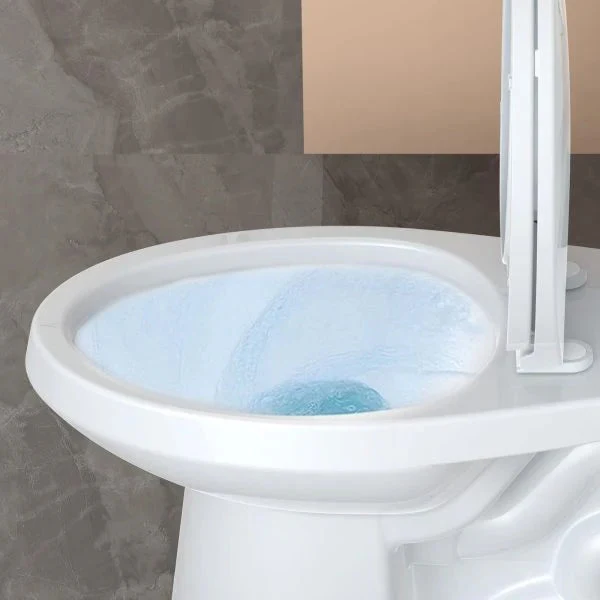 21TOILET, Elongated Toilets for Bathrooms, Two-piece Toilet with Soft Close Seat, 1.28 Siphonic Flush Toilet with Universal Height Ada…