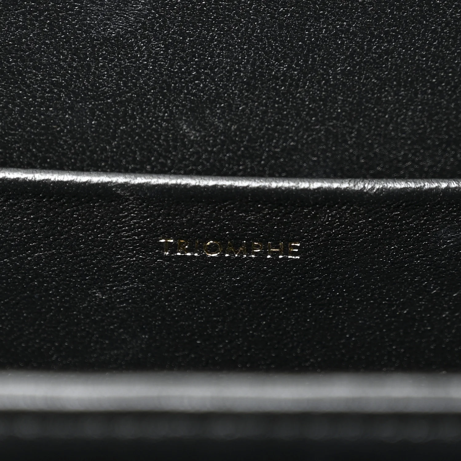 Shiny Calfskin Medium Triomphe Black
