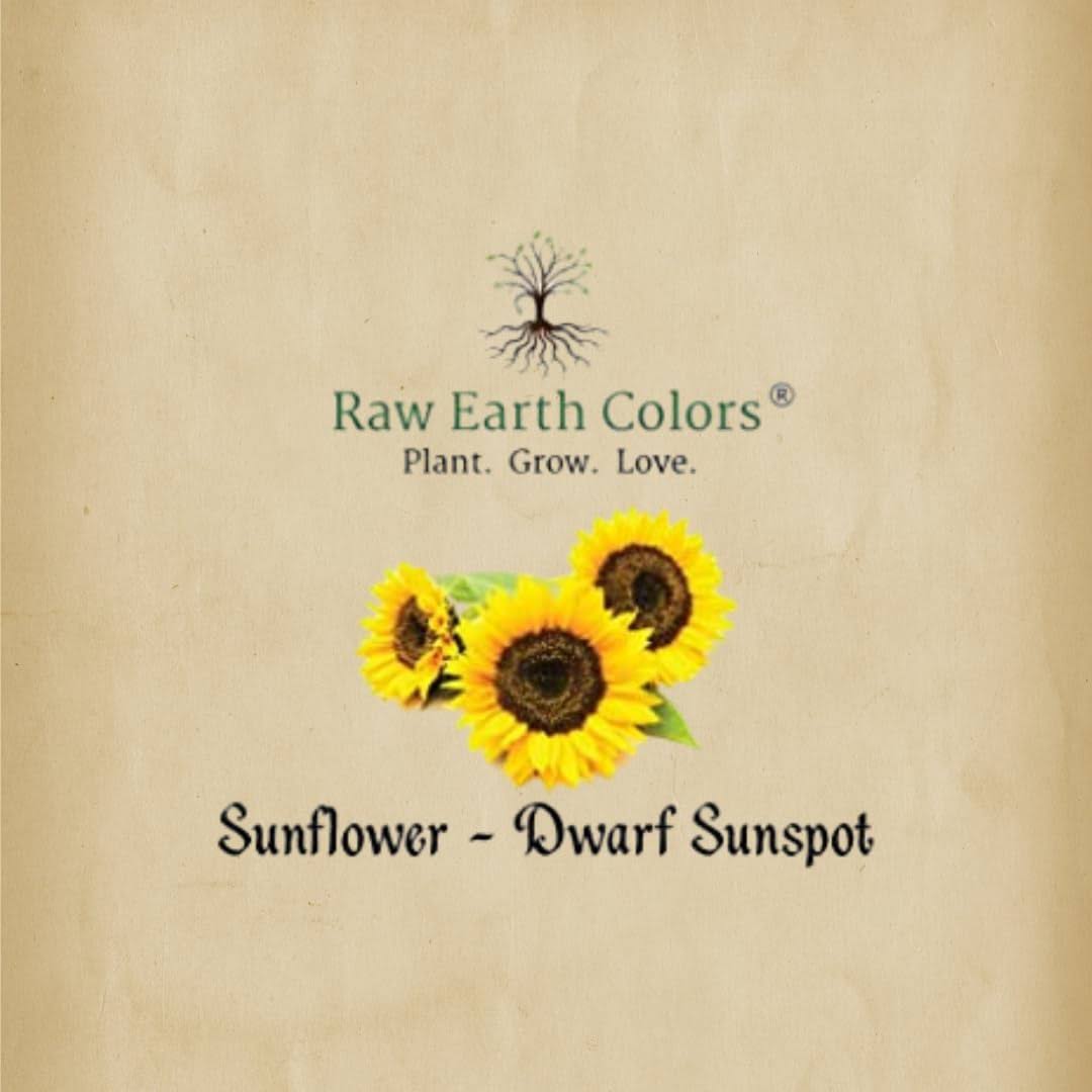 Raw Earth Colors Dwarf Sunflower Seeds for Planting