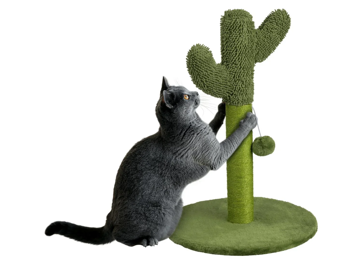 zoofari Arbre  chat, 54 x  38 cm