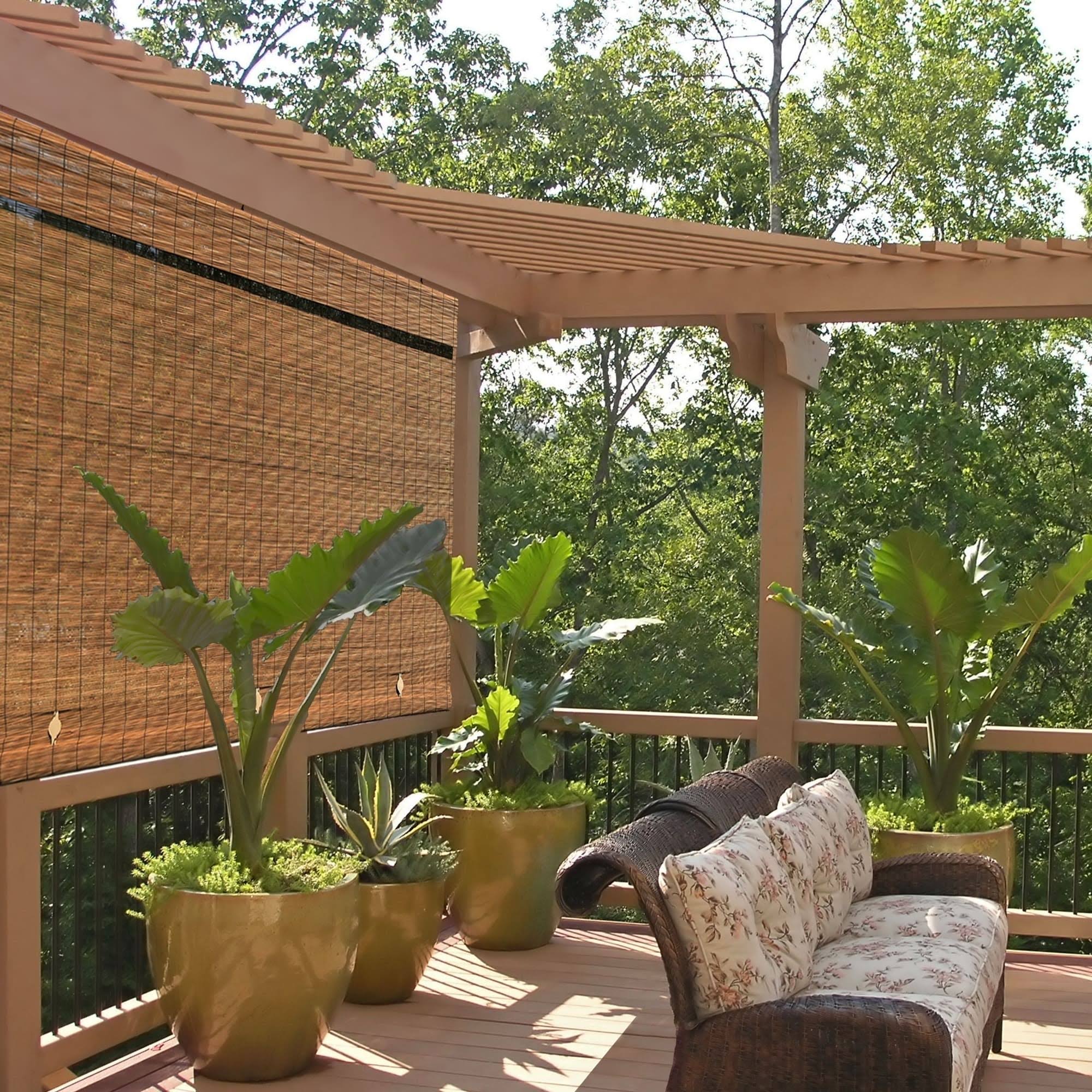 Radiance Imperial Matchstick Cord Free Roll-Up Shade, Fruitwood, 60